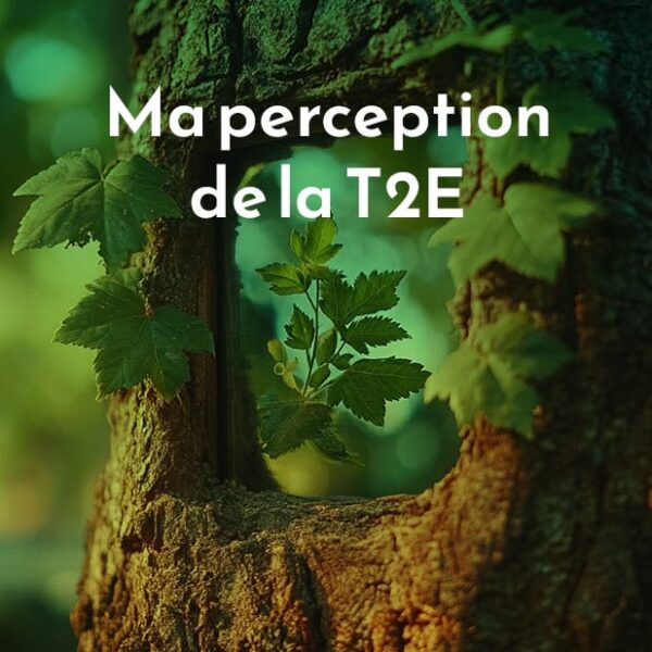 Ma perception sur la T2E
