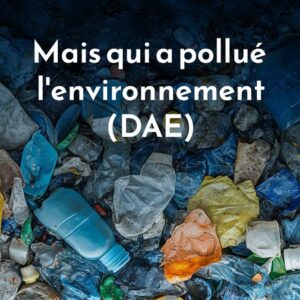 Mais qui a pollué l'environnement ? (DAE)